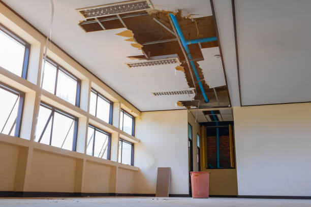 Best Basement water damage restoration  in Hildale, UT