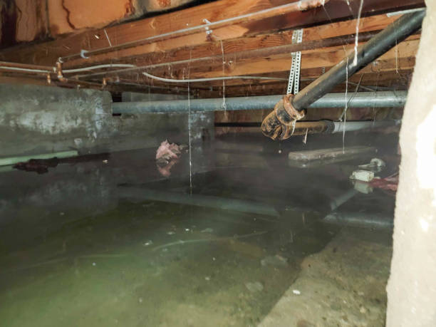Best Water damage restoration services  in Hildale, UT