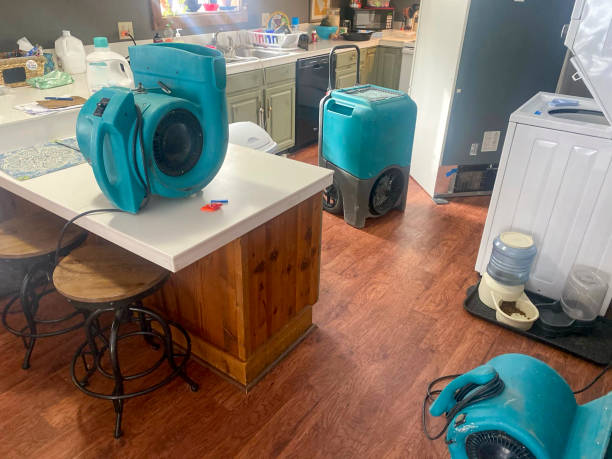 Best Mold removal after water damage  in Hildale, UT