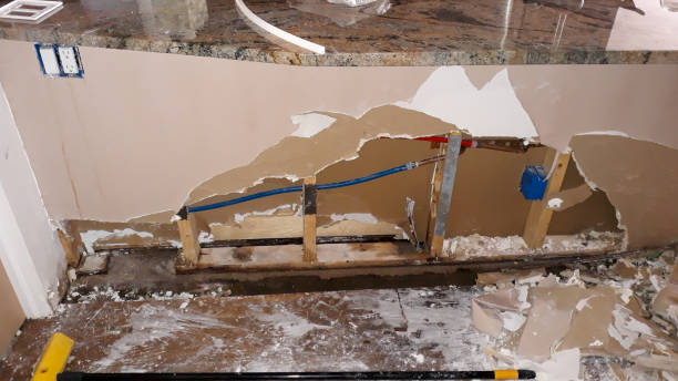 Best Mold removal after water damage  in Hildale, UT