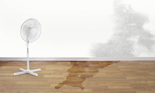 Best Residential water damage restoration  in Hildale, UT