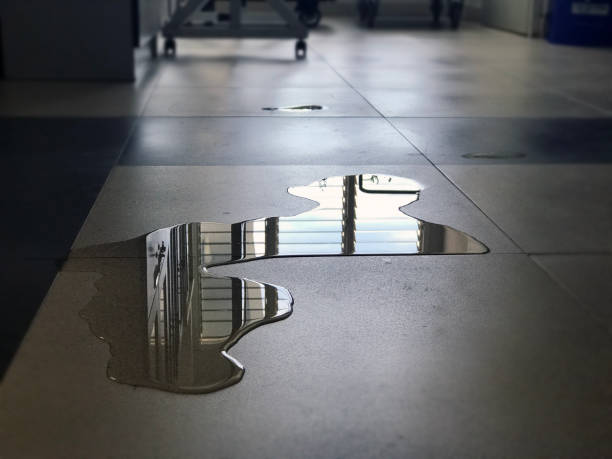 Best Local water damage restoration  in Hildale, UT