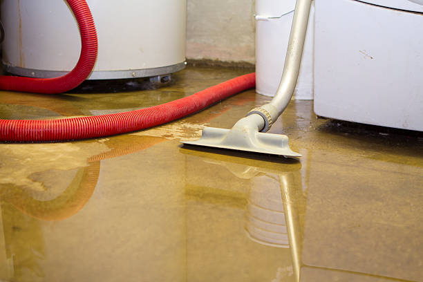 Best Water damage restoration experts  in Hildale, UT