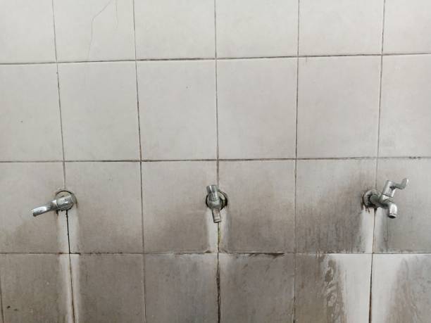 Best Professional water damage repair  in Hildale, UT