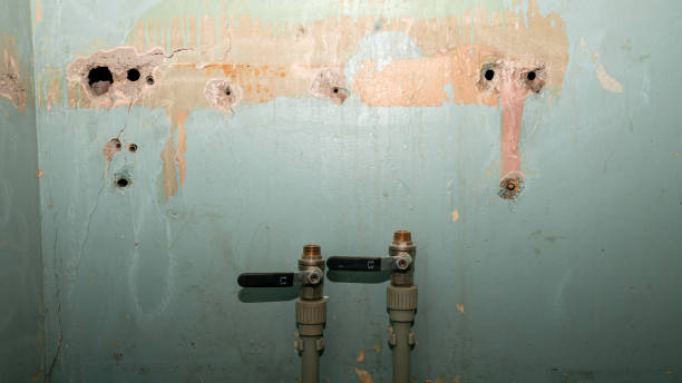 Best Water damage restoration process  in Hildale, UT