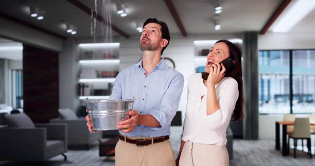Best 24-hour water damage restoration  in Hildale, UT